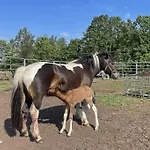 Çiftlik konaklama Kociolek