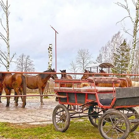 Farm stay Kociolek *