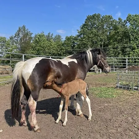Farm stay Kociolek