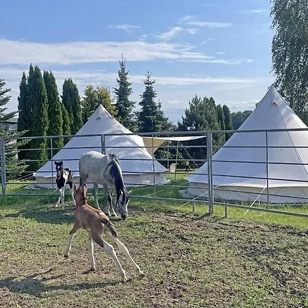 Kociolek * Kociolki