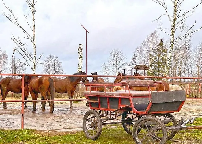 Farm stay Kociolek *